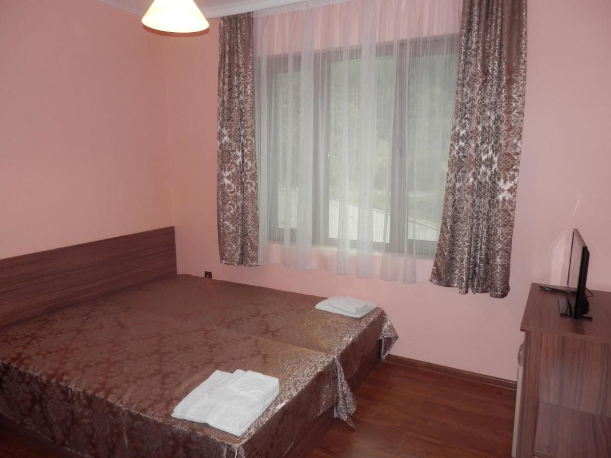 Отель Family hotel Borovitsa Pŭdartsi-31