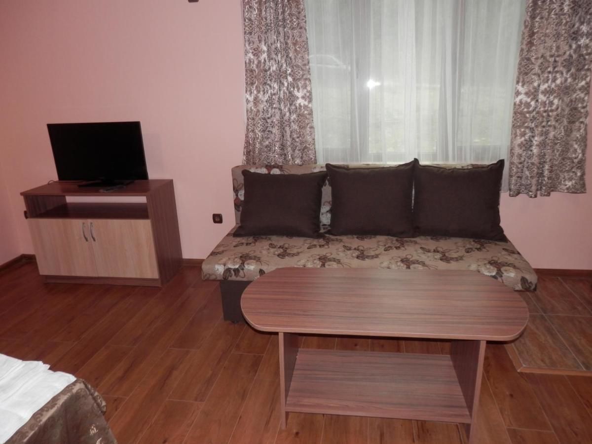 Отель Family hotel Borovitsa Pŭdartsi-34