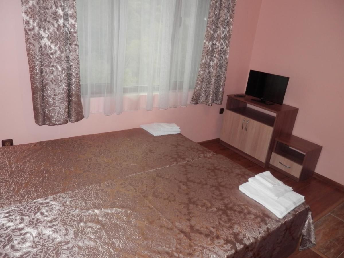 Отель Family hotel Borovitsa Pŭdartsi-36