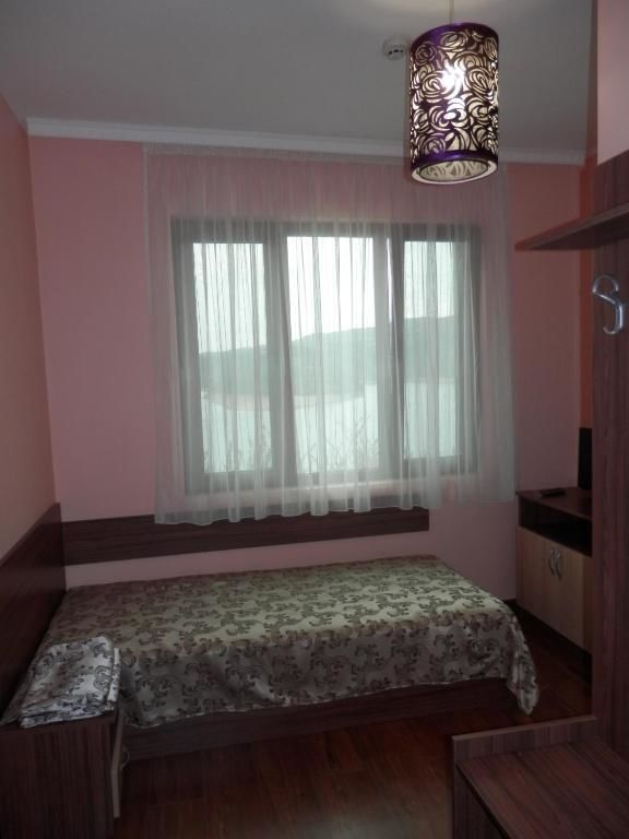 Отель Family hotel Borovitsa Pŭdartsi-49