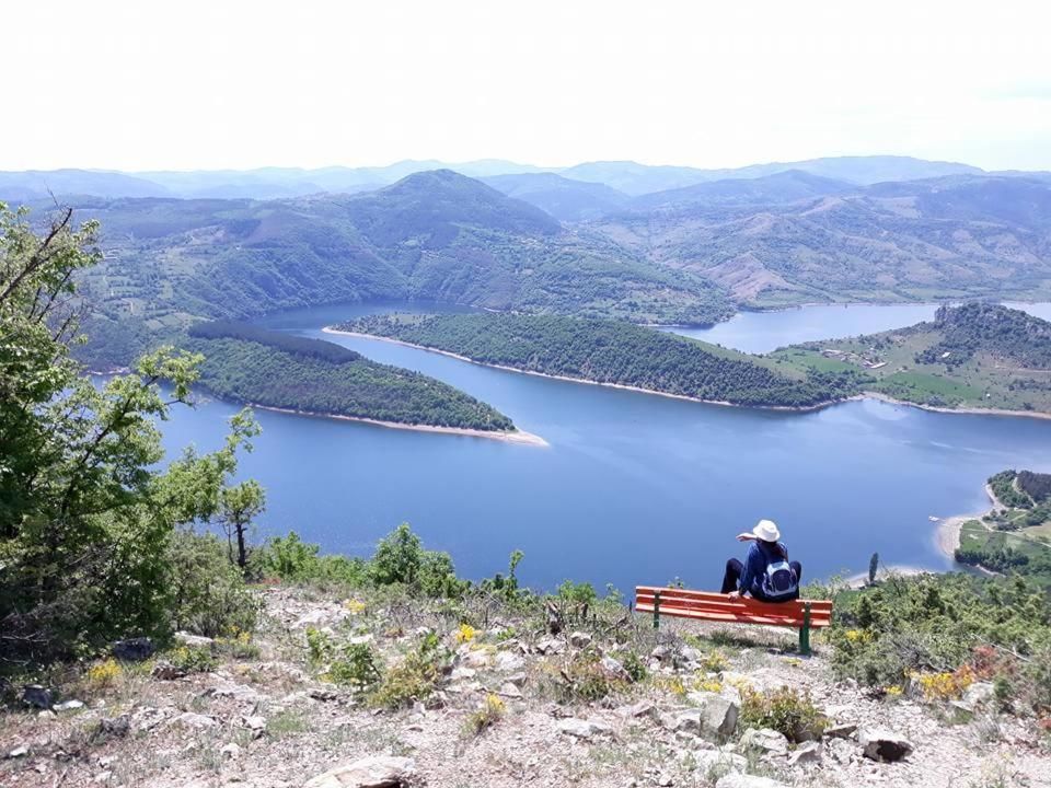 Отель Family hotel Borovitsa Pŭdartsi